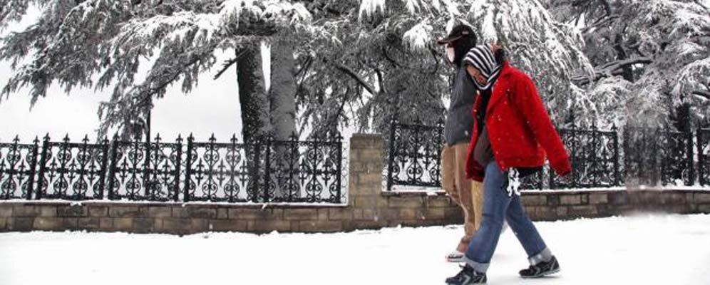 Shimla Manali Honeymoon