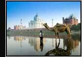 Delhi